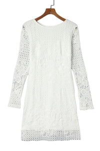 White Lace Hollowed Long Sleeve Bodycon Dress