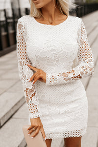 White Lace Hollowed Long Sleeve Bodycon Dress