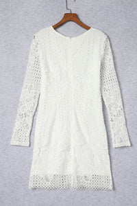 White Lace Hollowed Long Sleeve Bodycon Dress