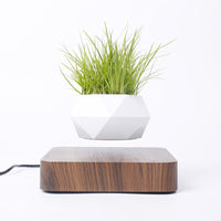 Floating Planter Magic Novelty Levitating Rotation Flowerpot Magnetic Levitation FlowerPot