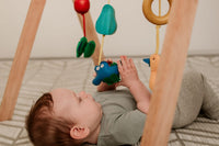 QToys Australia (USA) BABY GYM