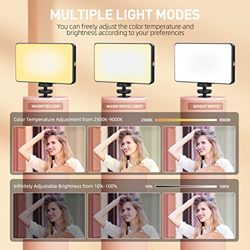 Meixitoy 120 LED Phone Light, Selfie Light, 5000Mah Rechargeable Clip Video Light, Adjusted 3 Light Modes, for Phone, Camera, Laptop, iPad, Light for Phone for Selfie, Video Conference, TikTok, Vlog