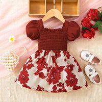 Baby Girl Floral Frill Trim Square Neck Smocked Dress Baby Clothing and Fashion