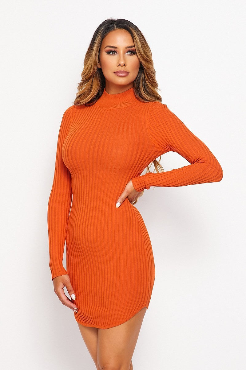 Turtleneck Long Sleeve Mini Dress, Ribbed Knit Mock Neck Round Dress