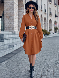 Notched Neck Long Sleeve Dress