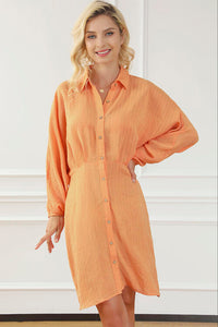 Texture Button Up Balloon Sleeve Shirt Dress