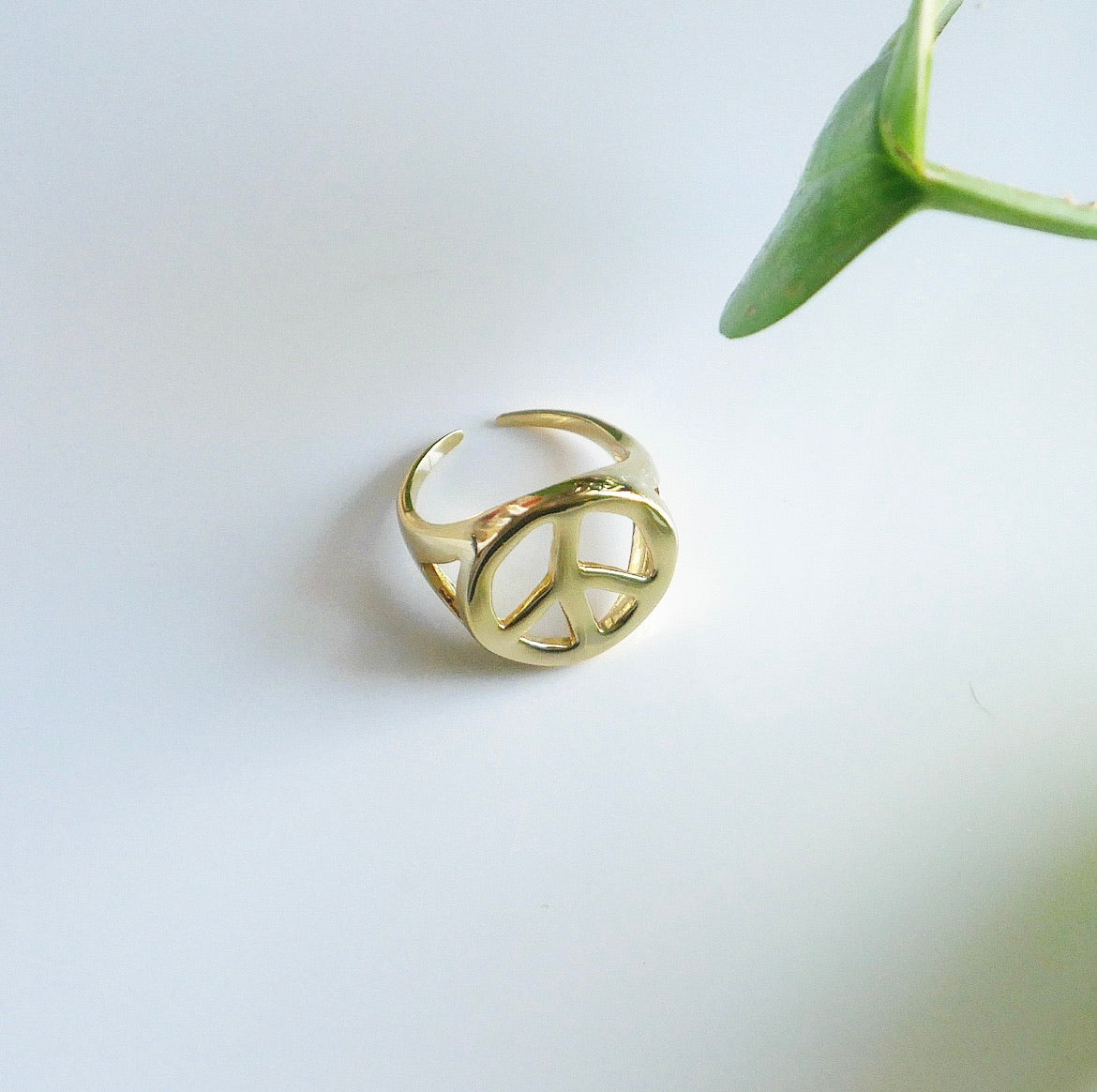 Peace Statement Ring